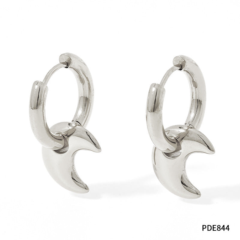 Earrings Stainless Steel Glossy