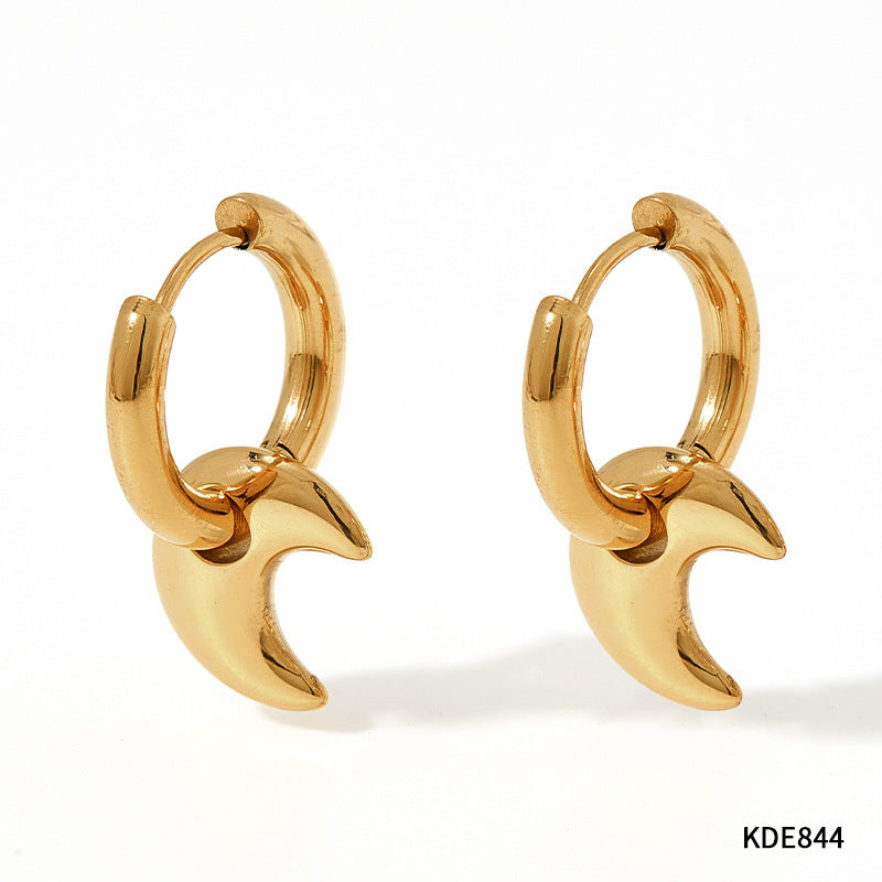 Earrings Stainless Steel Glossy