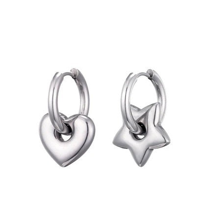 Earrings Stainless Steel Glossy